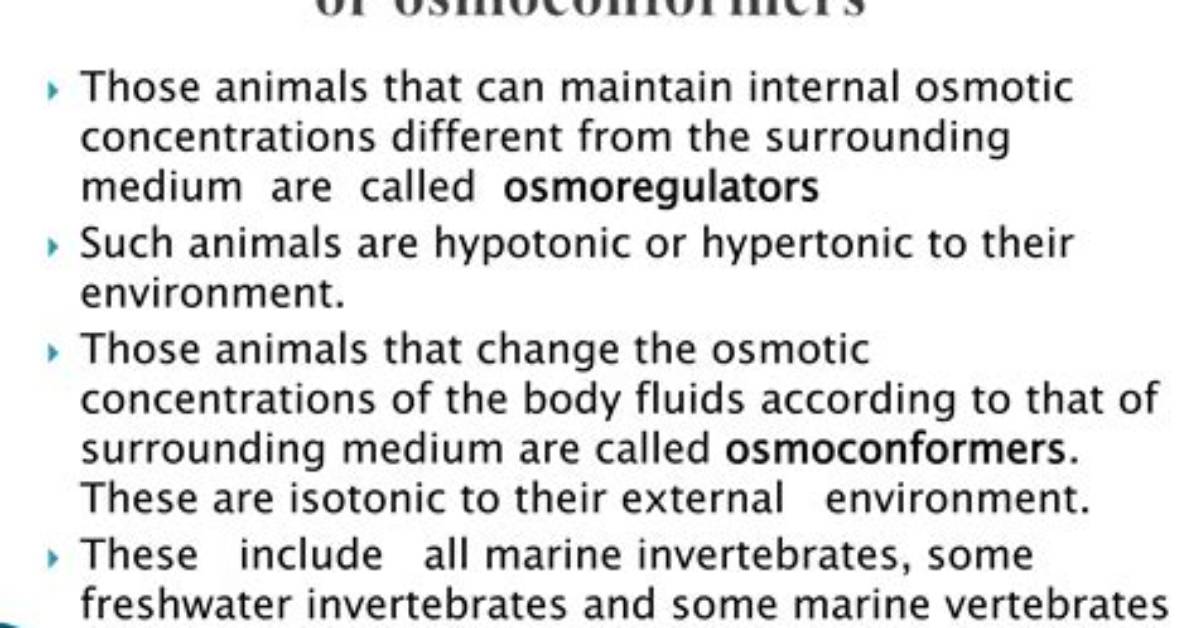 What Animals Are Osmoregulators