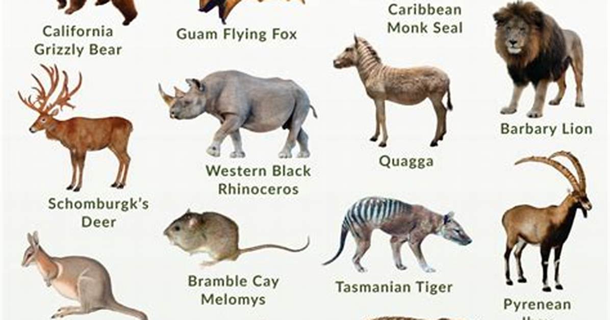 What Animals Were Recently Extinct?