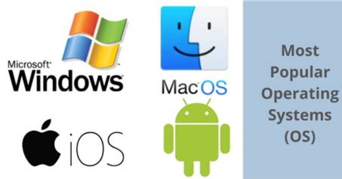 What Are 2 Most Common Operating Systems?