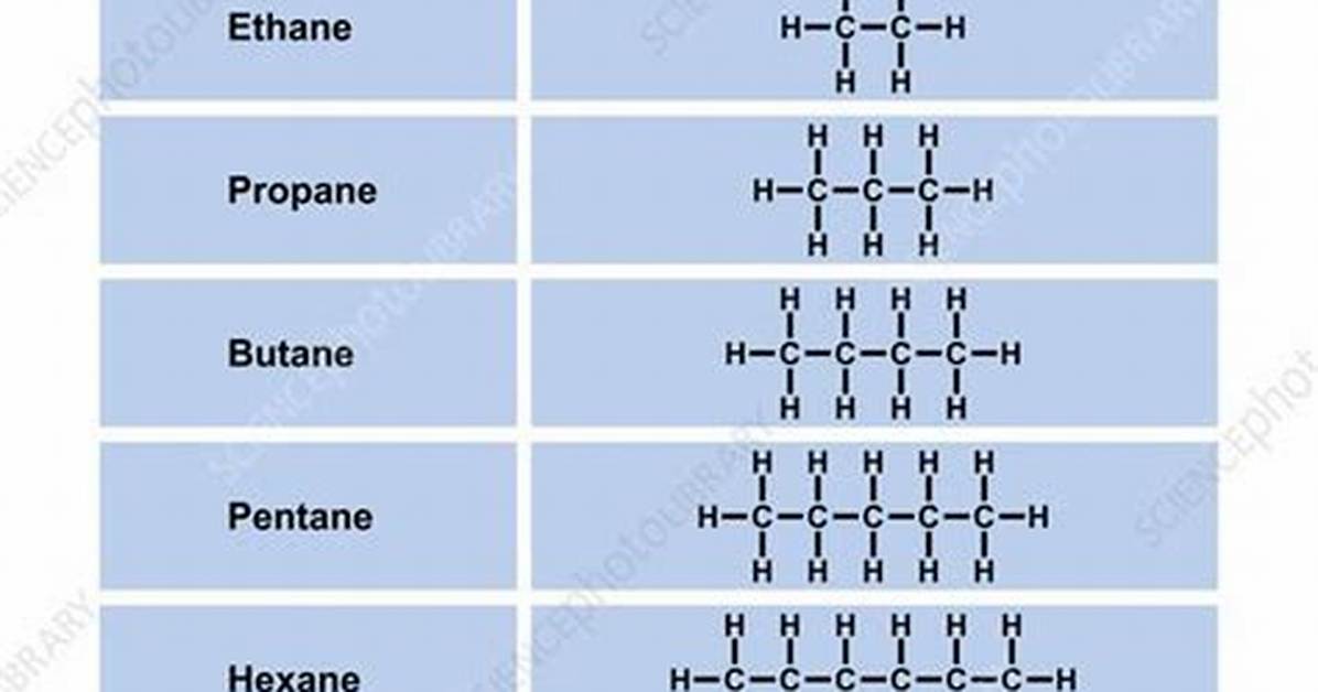 What Are Alkanes