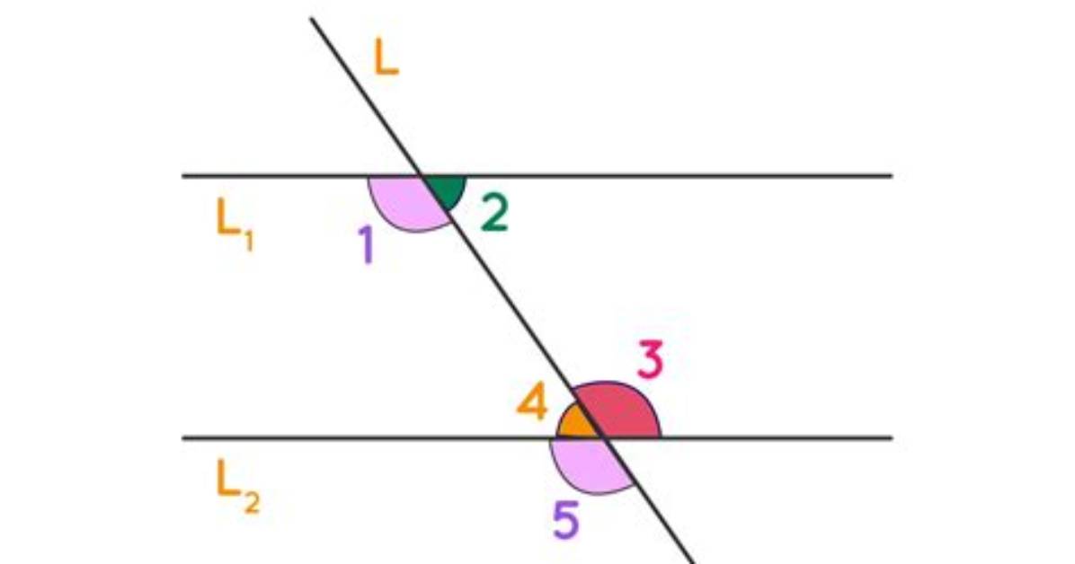 What Are Alternate Interior Angles, Alternate Interior Angles Theorem, Examples