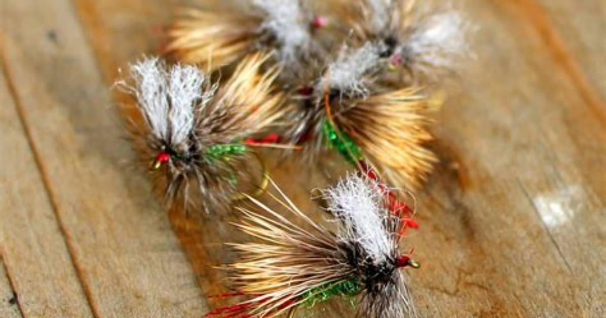 What Are Attractor Flies