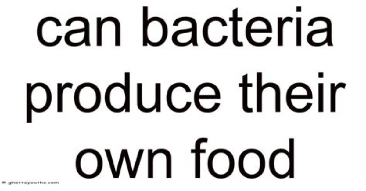 What Are Bacteria That Can Produce Their Own Food