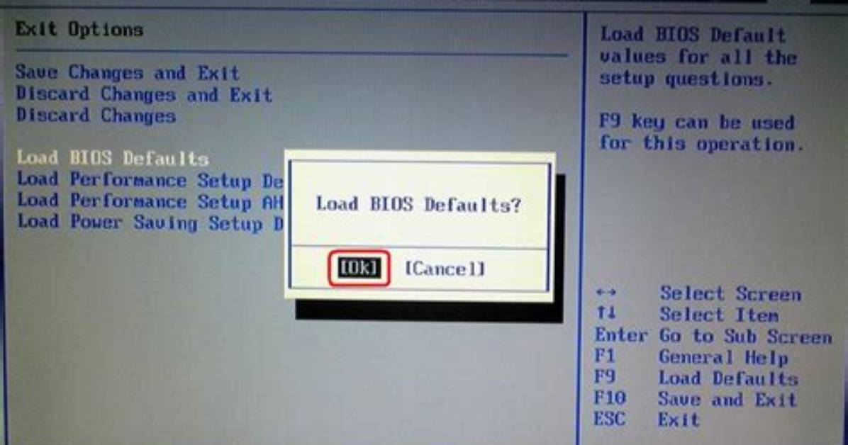 What Are Bios Defaults?