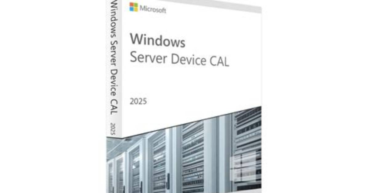 What Are Cals for Windows Server?