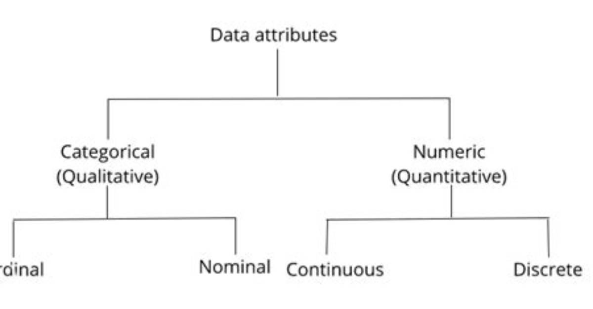 What Are Data -* Attributes Used For