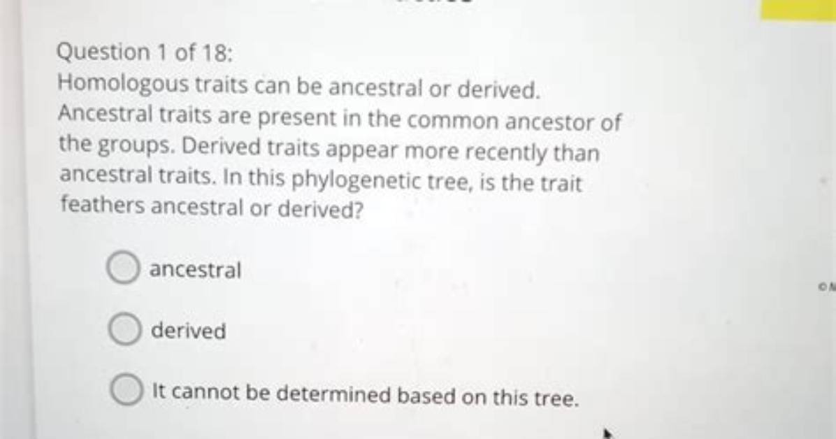 What Are Derived Traits - Lisbd-Net. Com