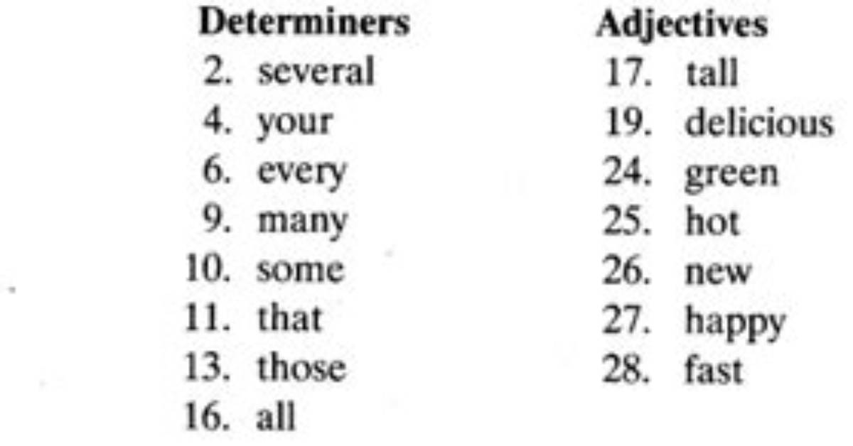 What Are Determiners Class 11?