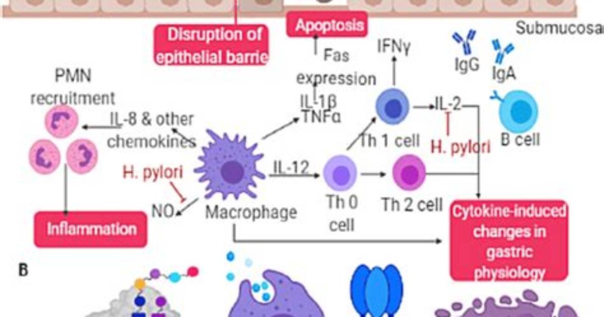 What Are Disease Processes