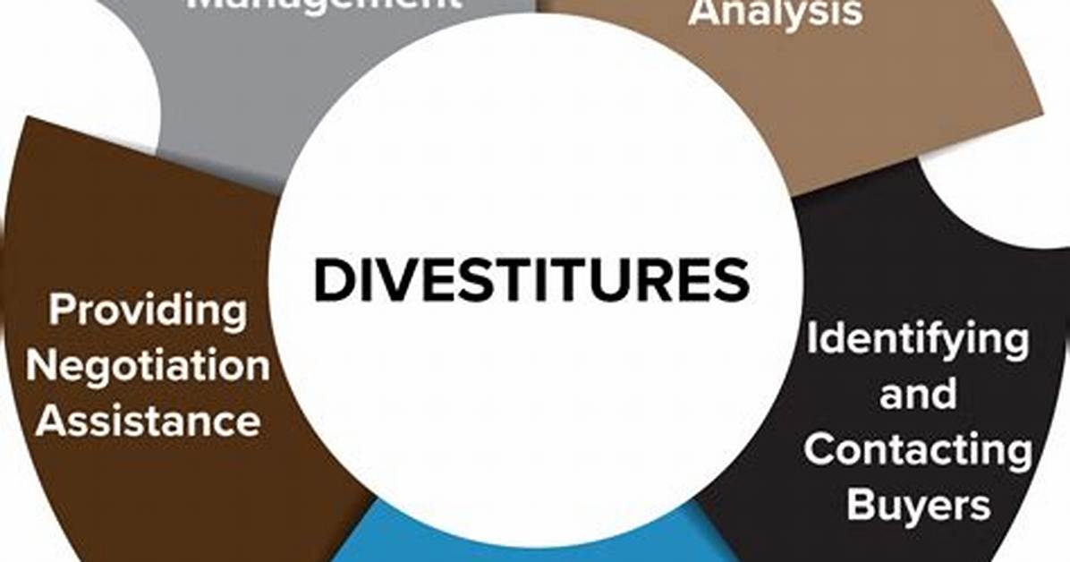 What Are Divestitures