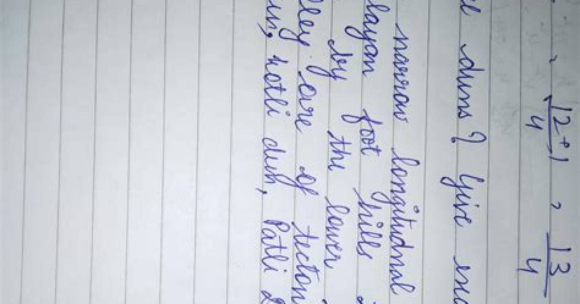 What Are Duns Give Example Class 9?