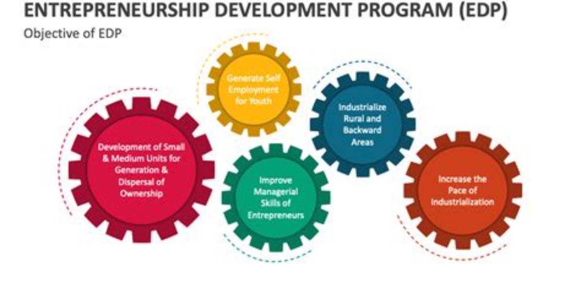 What Are Edp Programmes
