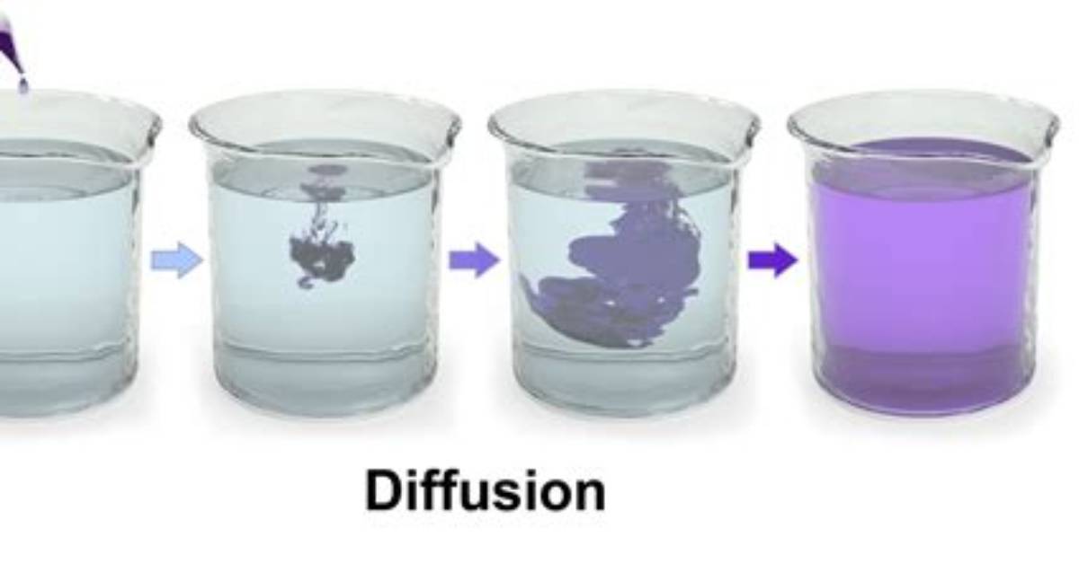 What Are Examples of Diffusibility?