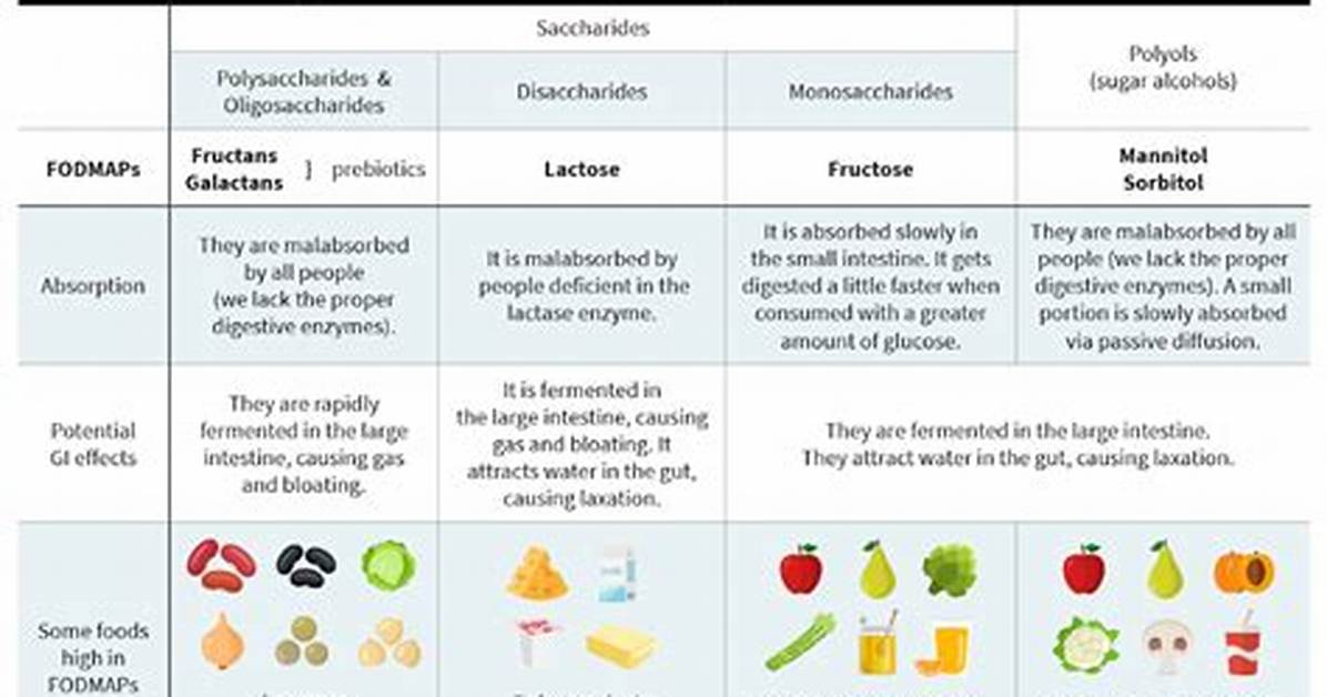 What Are Fermentable Oligosaccharides