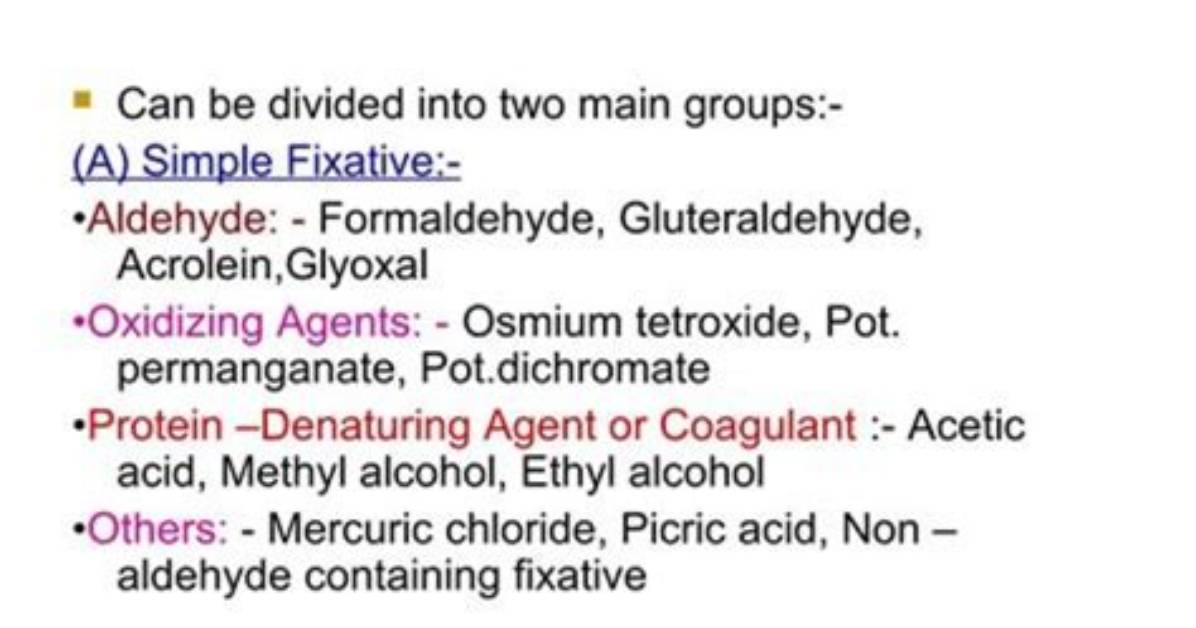 What Are Fixative Effects