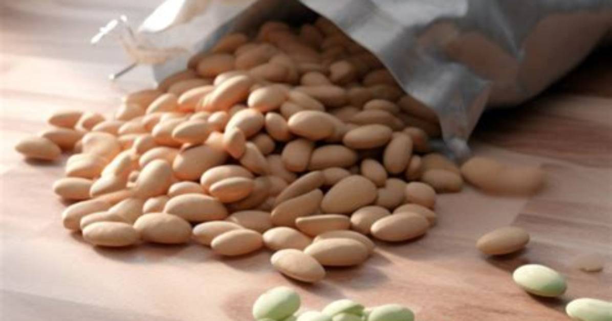 What Are Flageolet Beans Substitute?