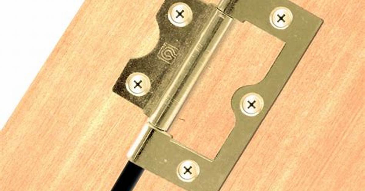 What Are Flush Hinges