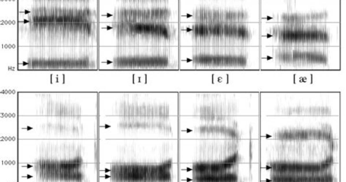 What Are Formants on a Spectrogram?