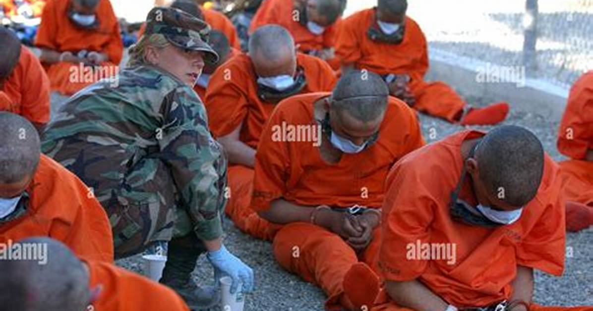What Are Gitmo Detainees?
