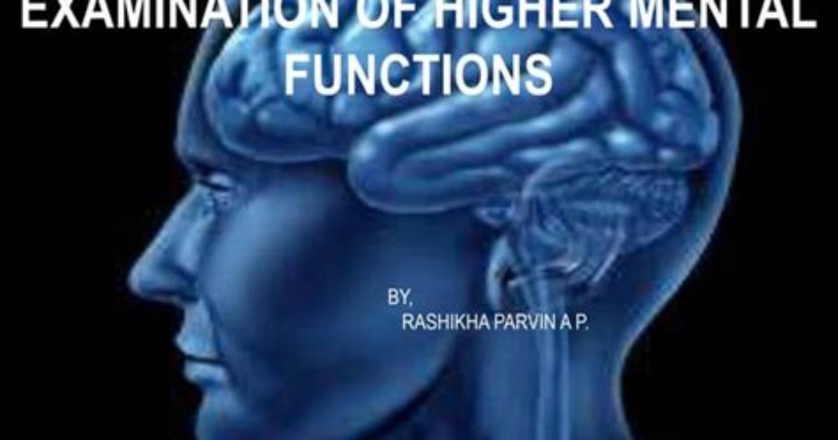 What Are Higher Mental Functions