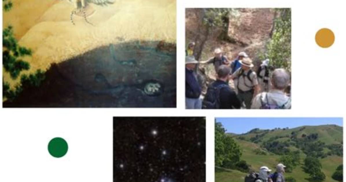 What Are Interpretive Programs