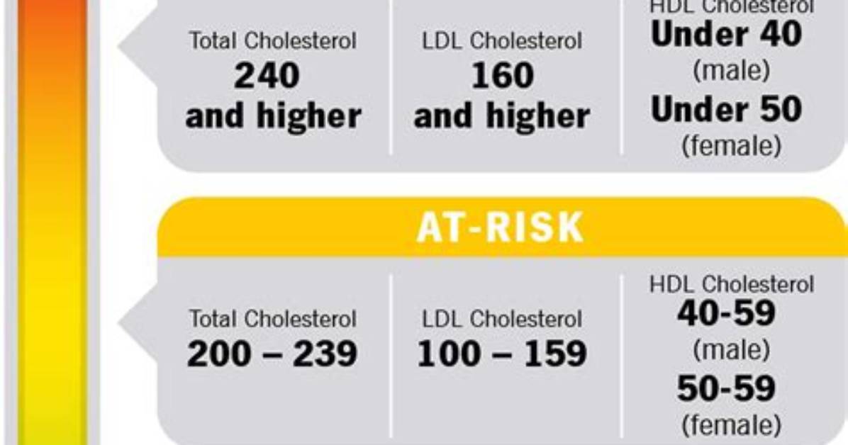 What Are Ldl Levels?