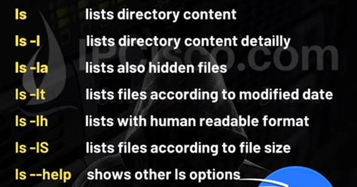 What Are Linux Command Options?