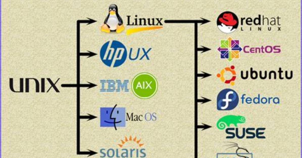 What Are Linux Os Flavors?