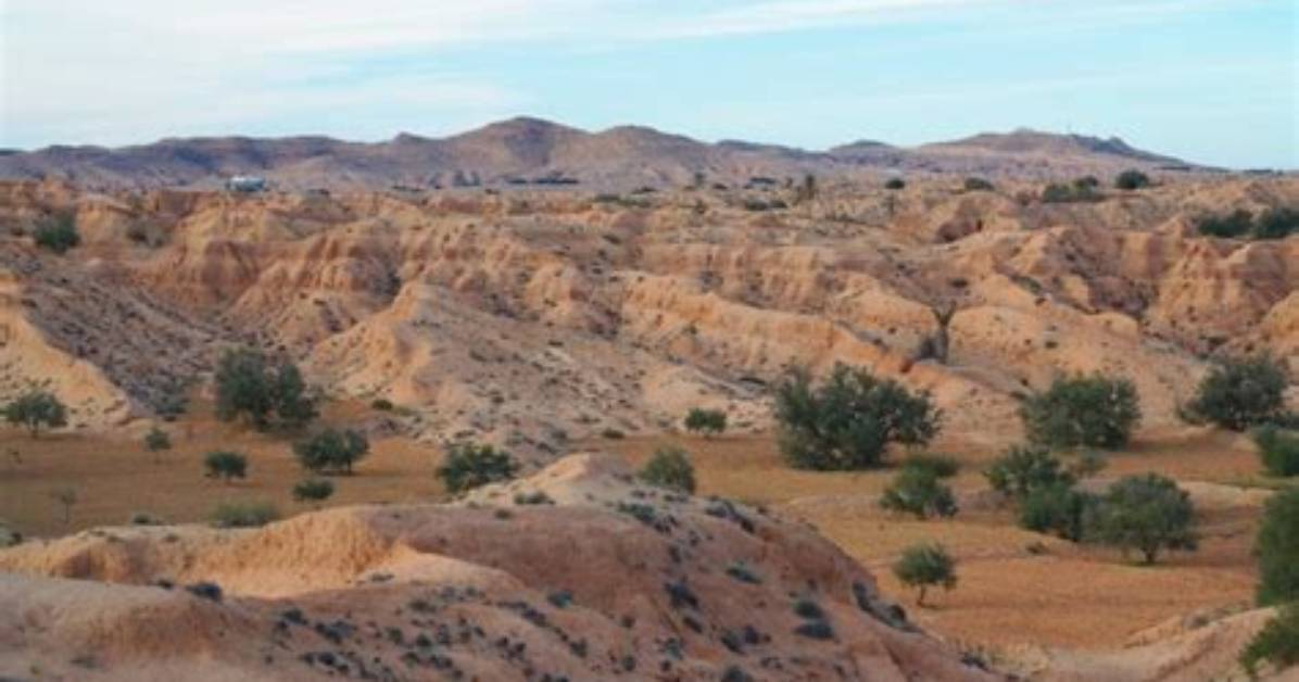 What Are Loess Examples
