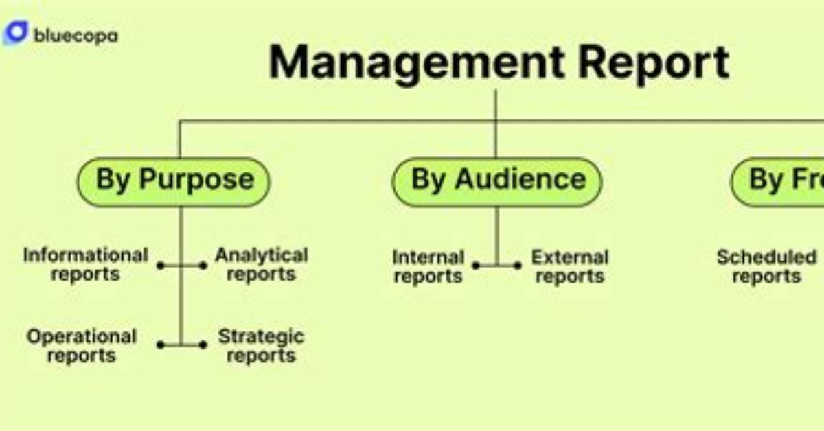 What Are Management Reports