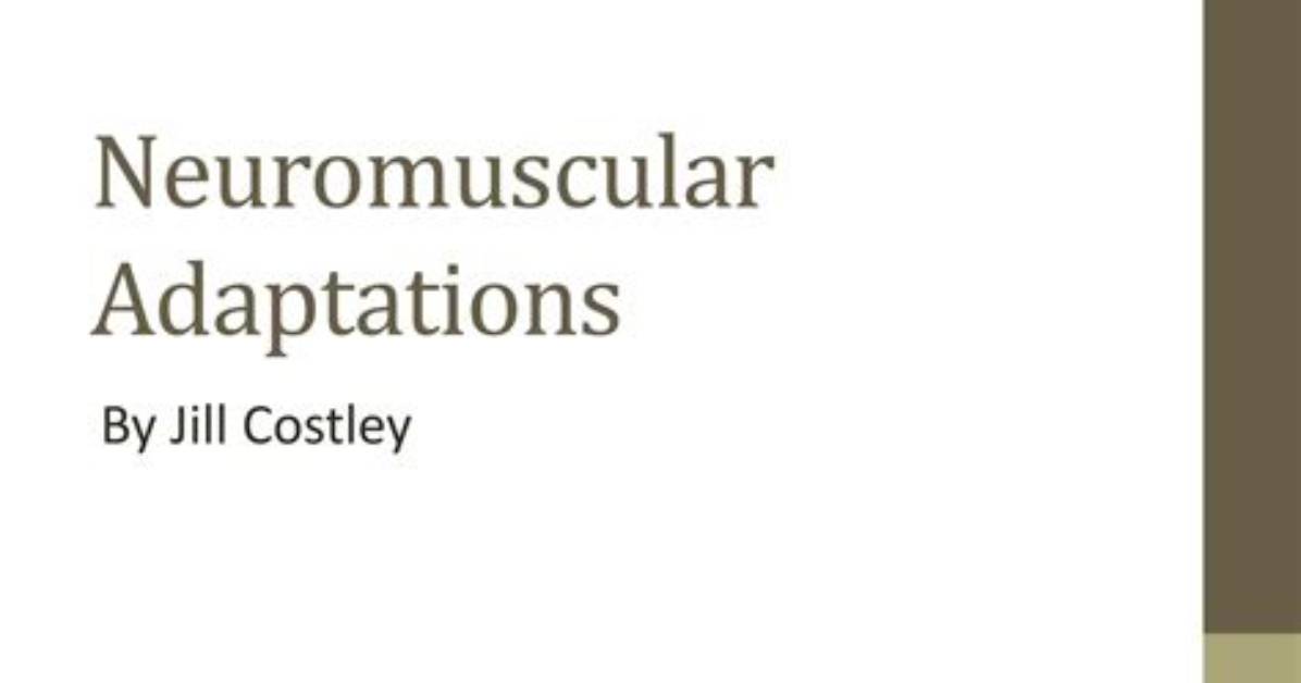What Are Neuromuscular Adaptations? | Contextresponse. Com