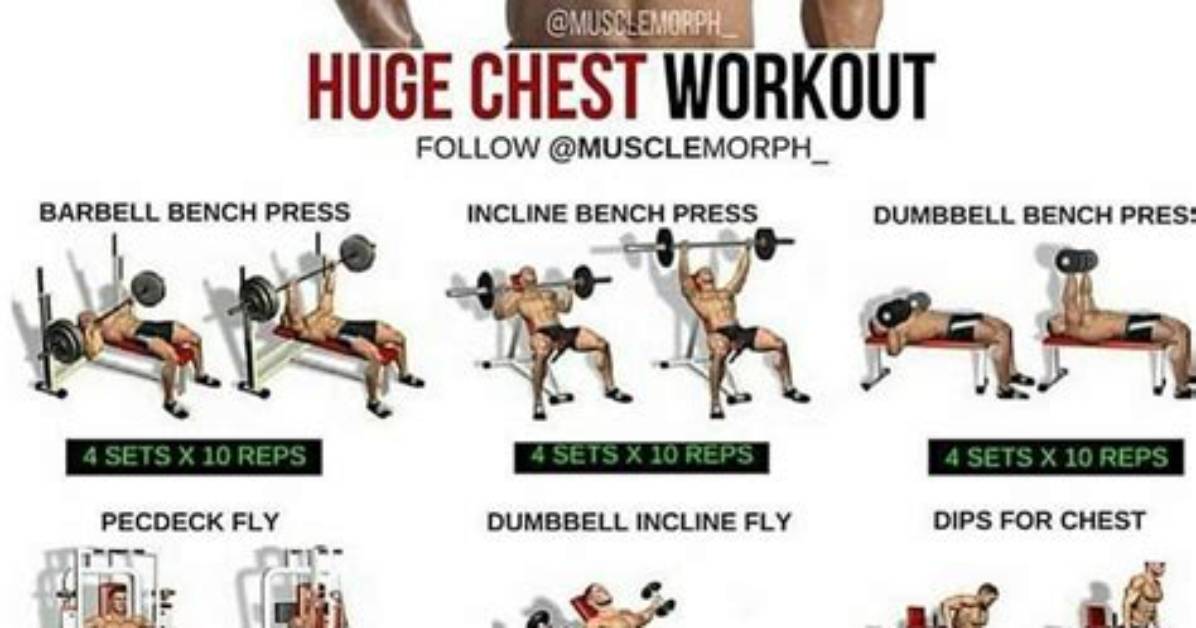 What Are Pectorals Good for?
