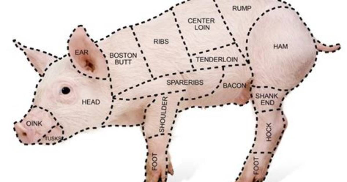 What Are Pig Hocks?