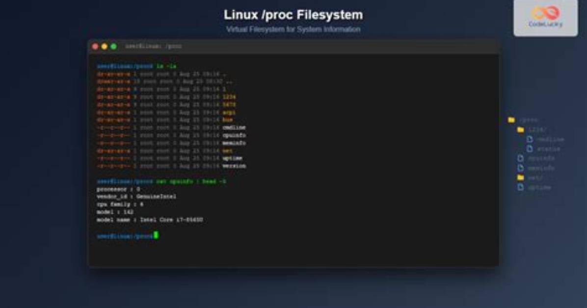 What Are Proc Files in Linux?