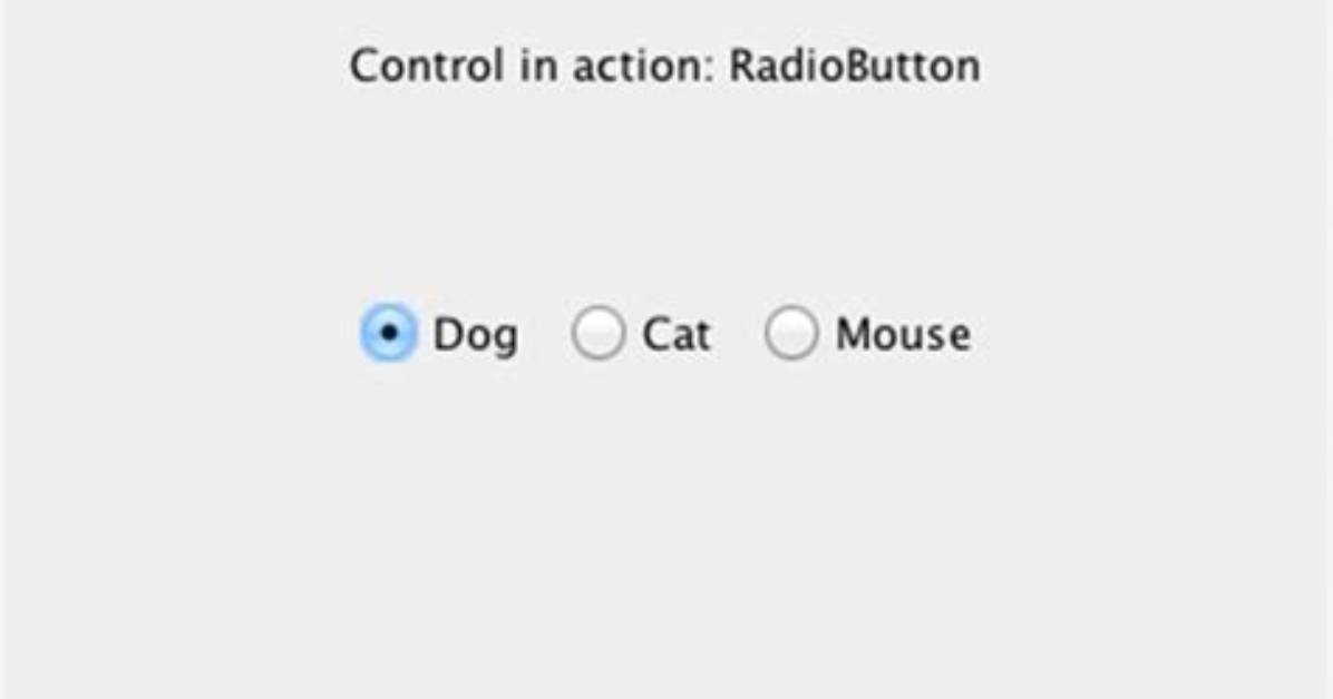 What Are Radio Buttons in Java