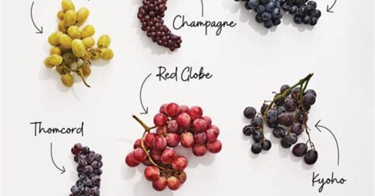 What Are Red Grapes Called