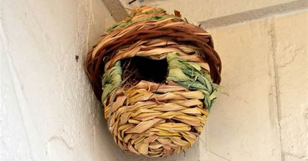 What Are Roosting Pockets?