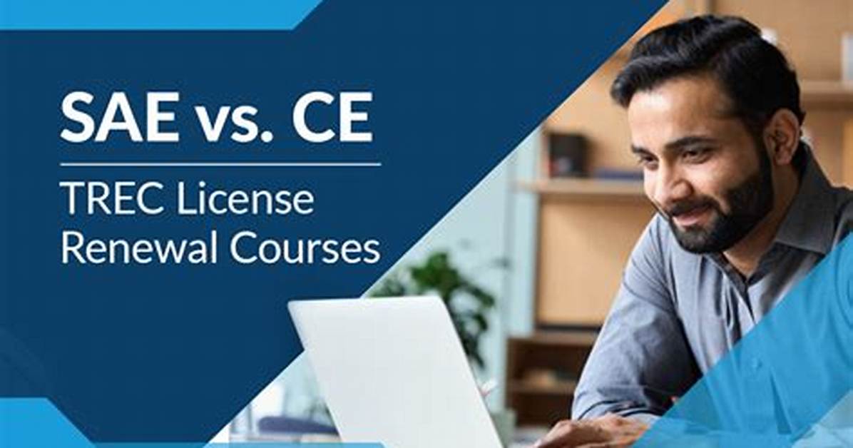 What Are Sae Courses