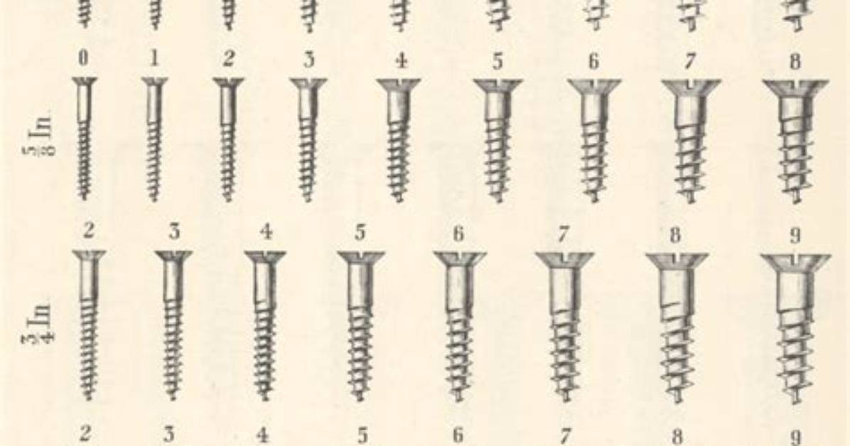 What Are Screw Numbers