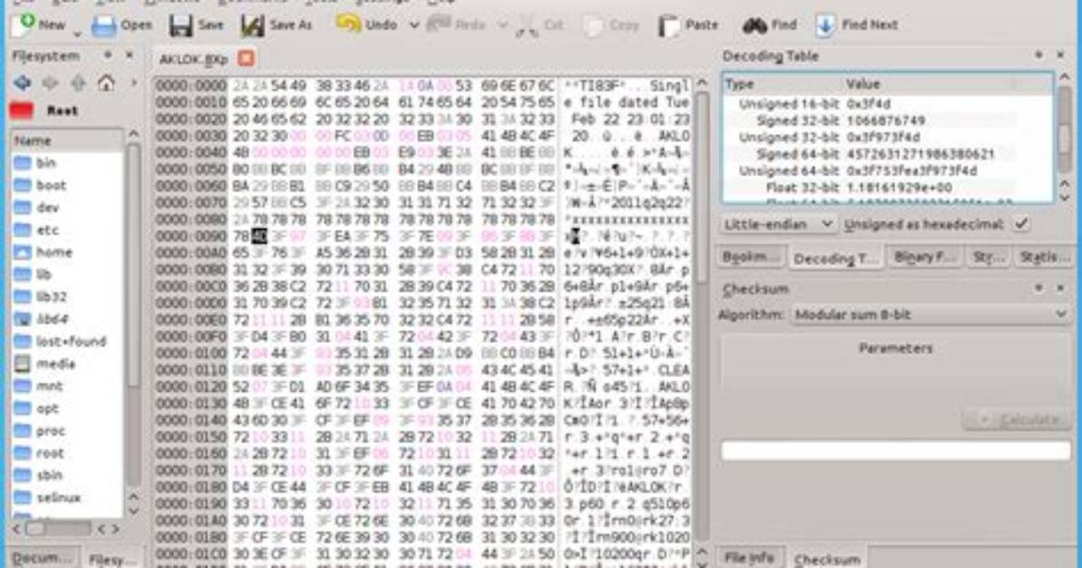 What Are Some Good Gui Binary Viewers/Editors?