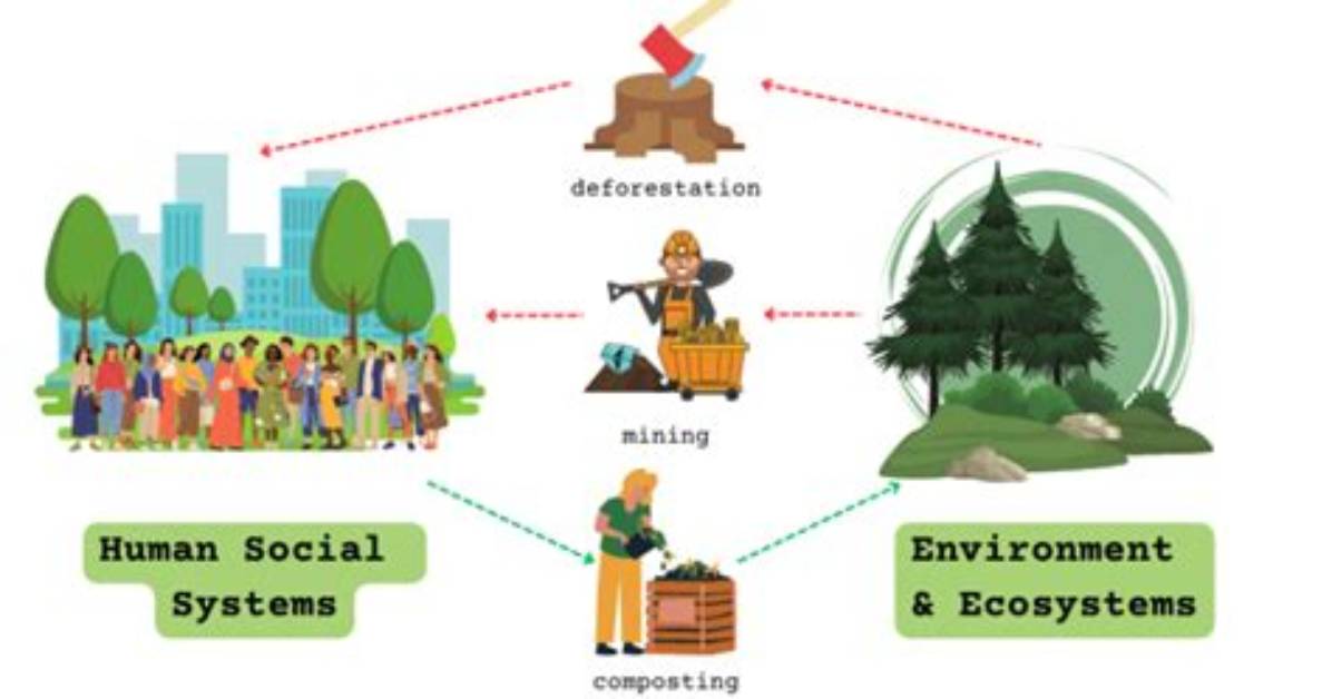 What Are Some Human Environment Interactions