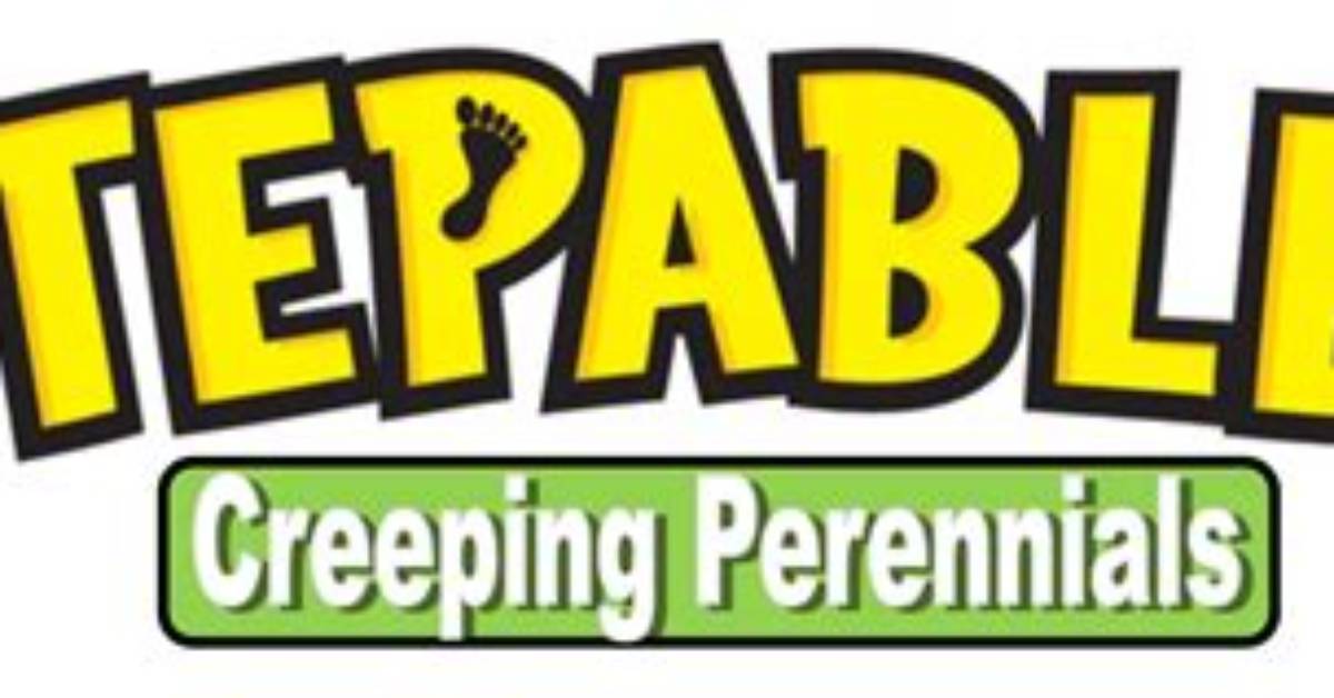 What Are Stepables