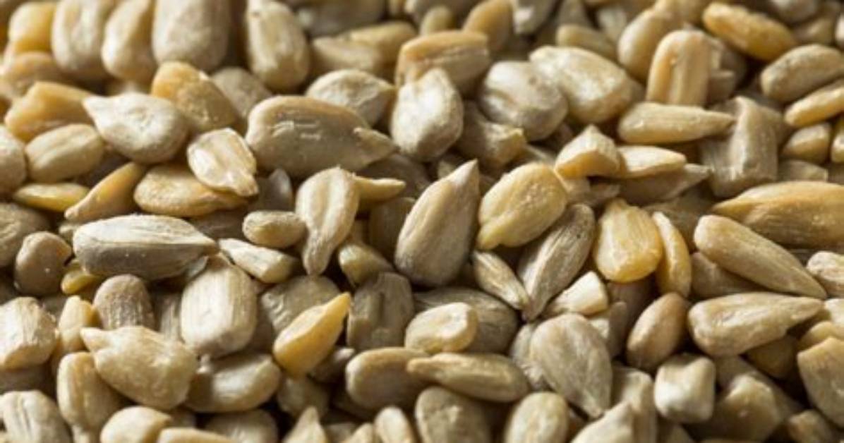 What Are Sunflower Kernels?