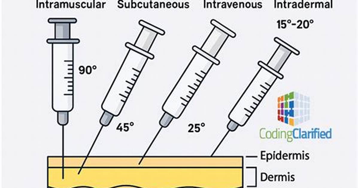 What Are the 3 Types of Injections?