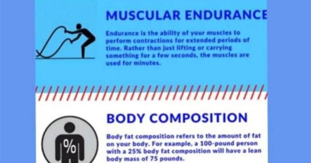 What Are the 5 Components of Physical Fitness List All 5?