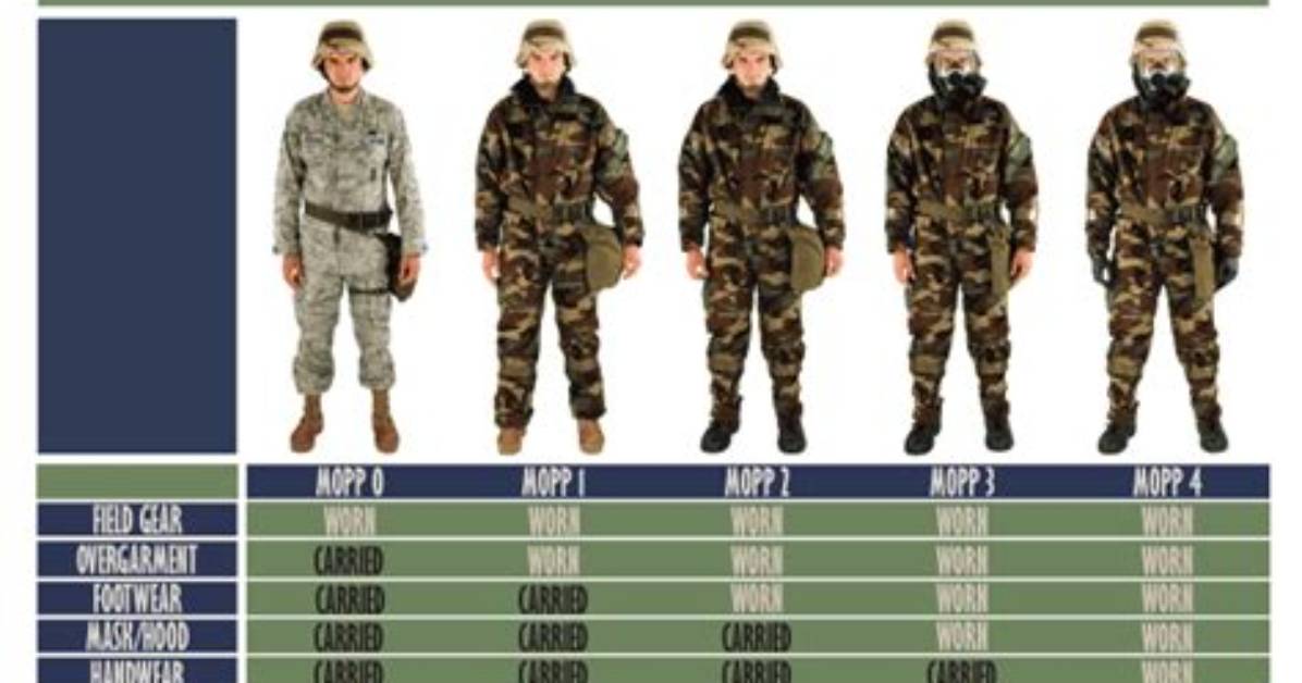 What Are the 5 Mopp Levels