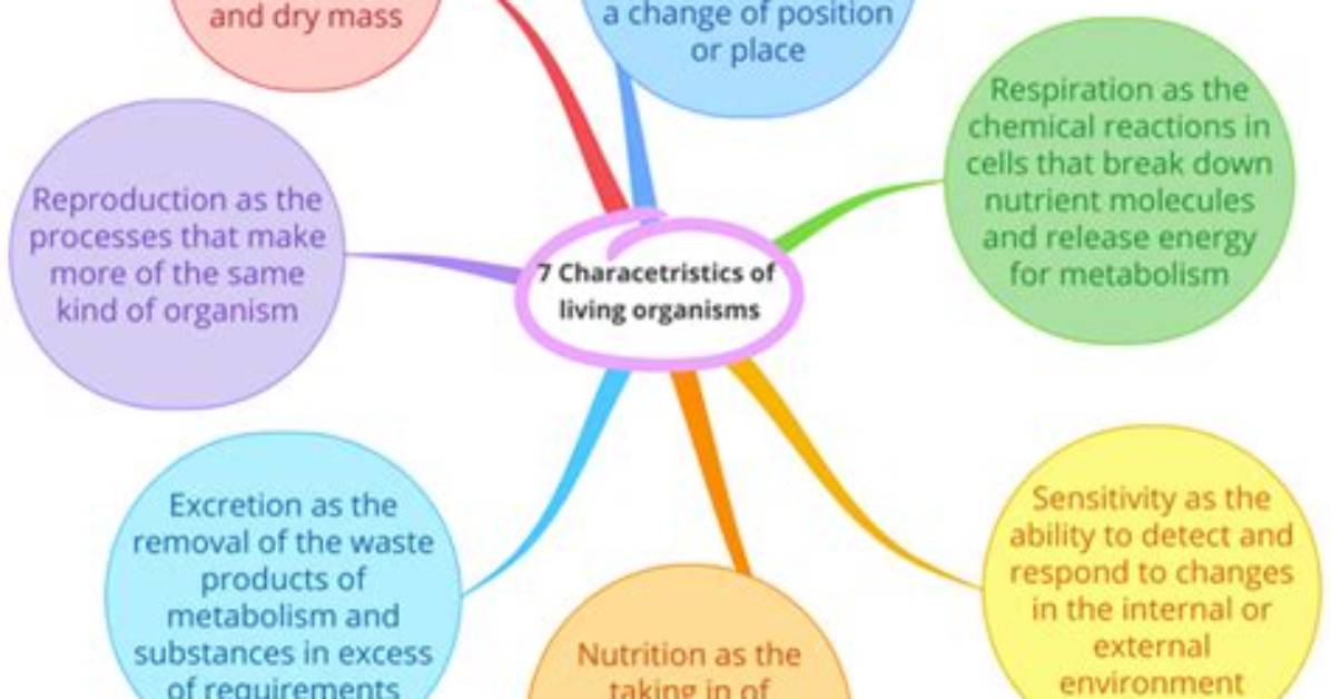 What Are the 7 Characteristics of a Civilization