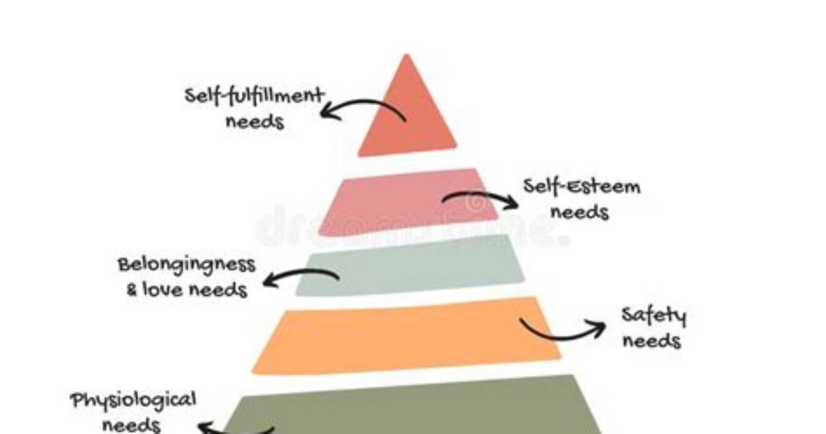 What Are the 7 Human Needs?