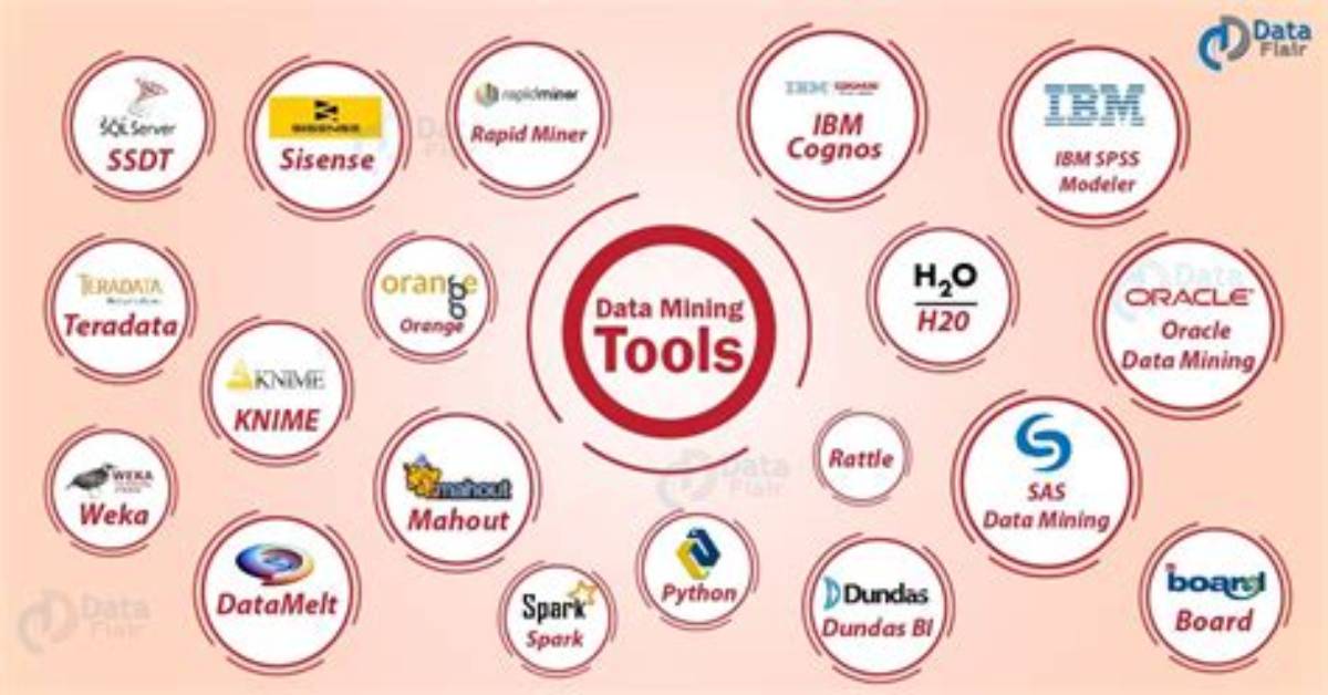 What Are the Data Mining Tools and Techniques