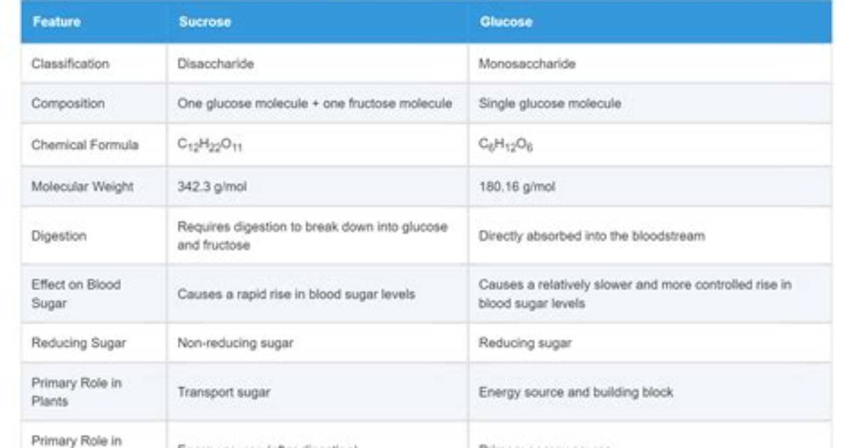 What Are the Differences Between Glucose and Glycogen?